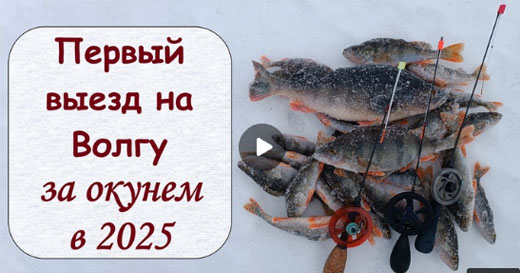 На Волгу за окунем с лесками Starline и Tournament Pro На Волгу за окунем с лесками Starline и Tournament Pro