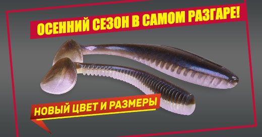 Новинки и другие поступления — осенний сезон в самом разгаре! Новинки и другие поступления — осенний сезон в самом разгаре!