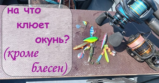 Рыбалка на озере с примагками Formant и плетеным шнуром Number One Рыбалка на озере с примагками Formant и плетеным шнуром Number One