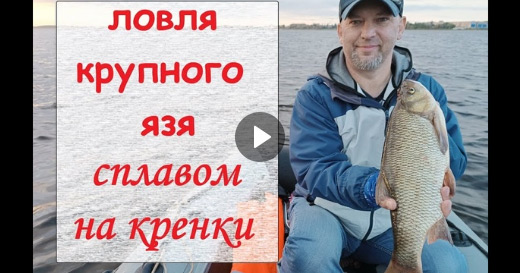 Ловля крупного язя на кренки Master Trigger Ловля крупного язя на кренки Master Trigger