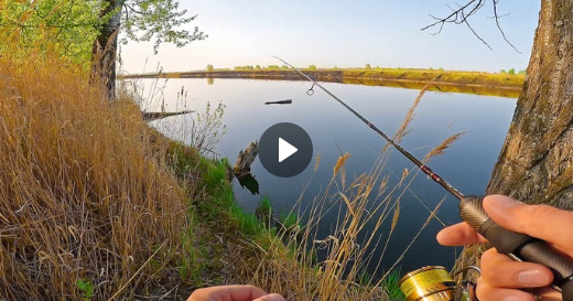 Рыбалка на мормышинг с поводками из флюорокарбона Starline