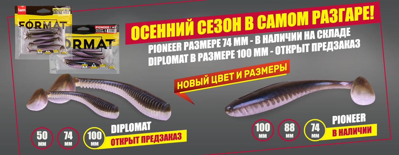 Новинки и другие поступления — осенний сезон в самом разгаре!