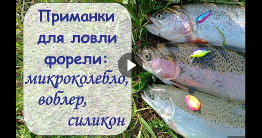 Форелевая рыбалка на платнике с блеснами Reflex и шнуром Contact 0.25PE Форелевая рыбалка на платнике с блеснами Reflex и шнуром Contact 0.25PE